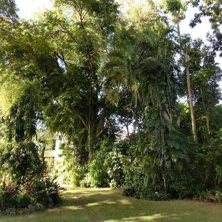 Balay Tuko Garden Inn Puerto Princesa Eksteriør billede