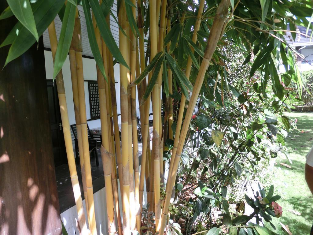 Balay Tuko Garden Inn Puerto Princesa Eksteriør billede