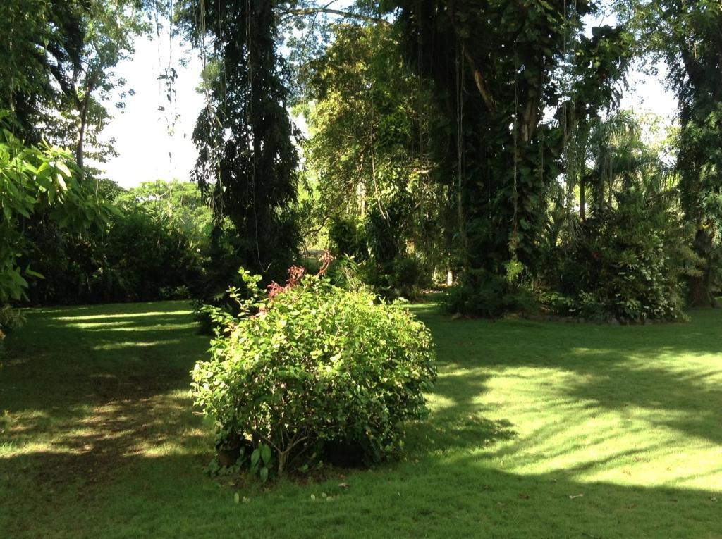Balay Tuko Garden Inn Puerto Princesa Eksteriør billede