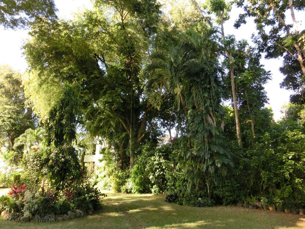 Balay Tuko Garden Inn Puerto Princesa Eksteriør billede